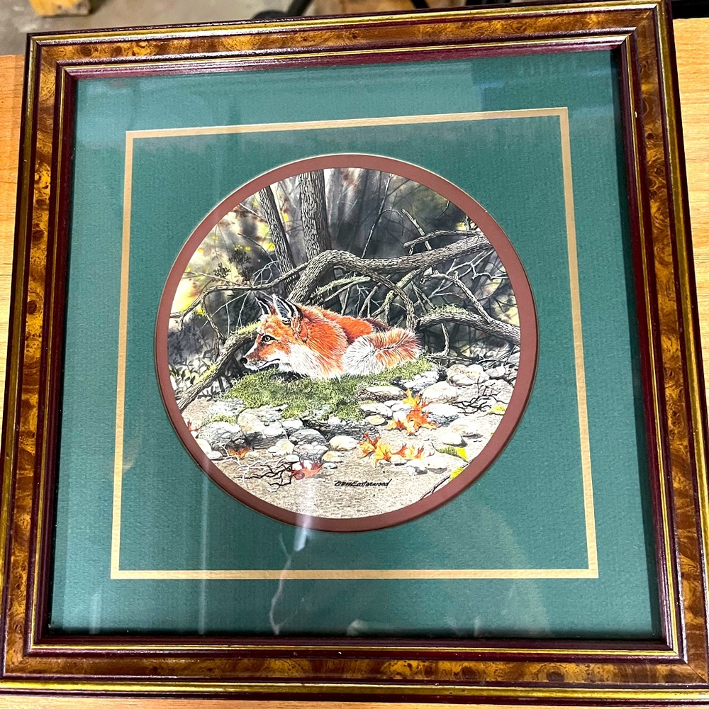 Fox Picture